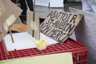 Saint-Aubin: Des associations iront à la rencontre de la population pour lutter contre le projet d’abattoir